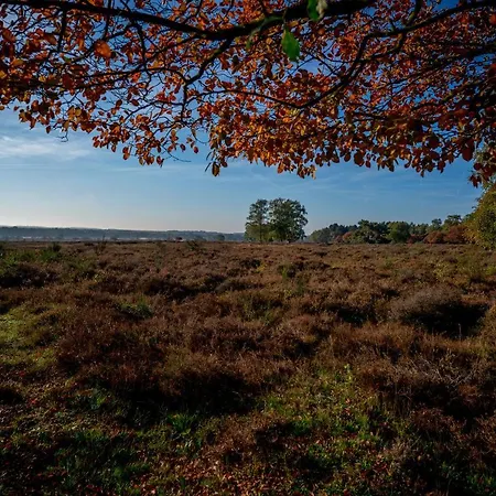 Hof Ter Heide Bed & Breakfast