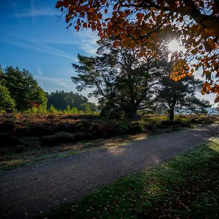 Hof Ter Heide *