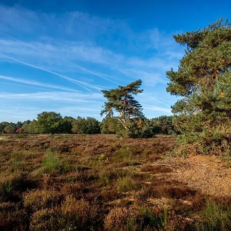 Hof Ter Heide *